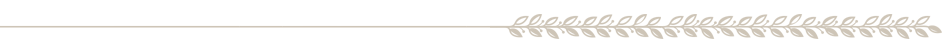 horizontall-1469226650-31.png